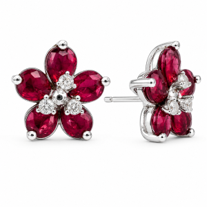 Arete de Rubi-1001429939