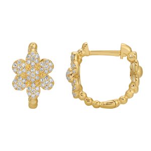 Aretes de Diamante-18380DWE4YXA1