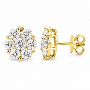 Aretes Rouma-P3013B